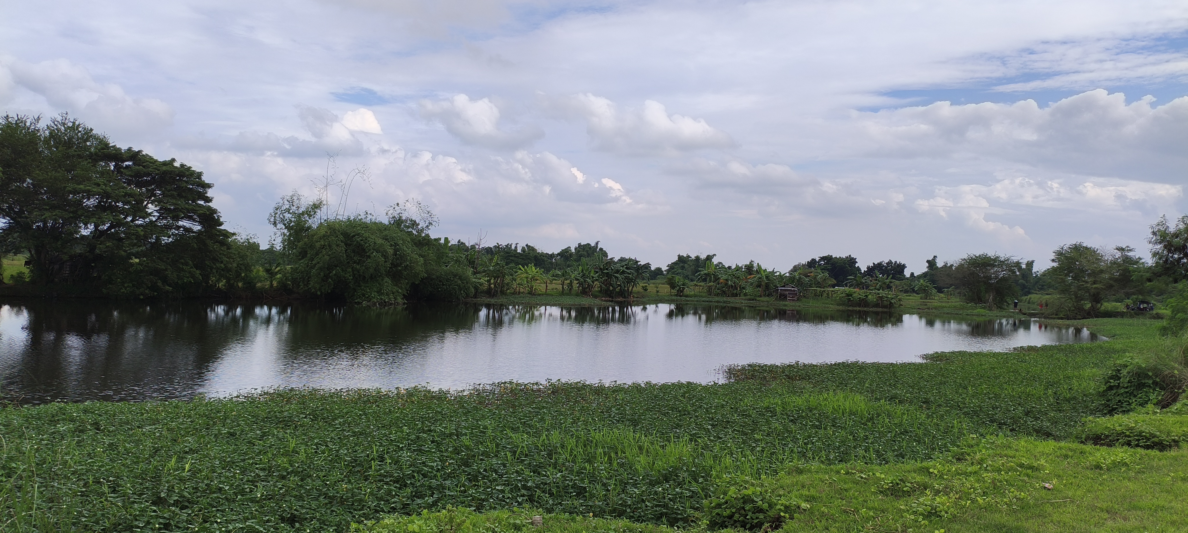 Lake 1